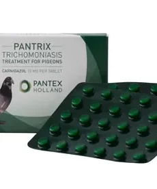 Pantex Pantrix packaging